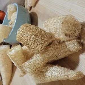 Loofah. All natural.  Peices. Homegrown.